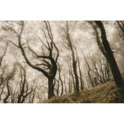 Goodyear Newton MTF Downhill Tubeless Complete Tyre -Maxxis Butik Goodyear Newton Downhill Tubeless Front MTB Tyre Black 2 5 Tyres Black GR 015 64 584 V005 R 9